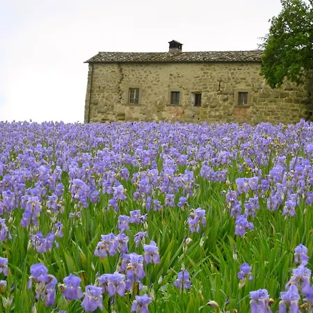 Tatil Evi Castello Di Pianettole 3 Da Letto Matrimoniali